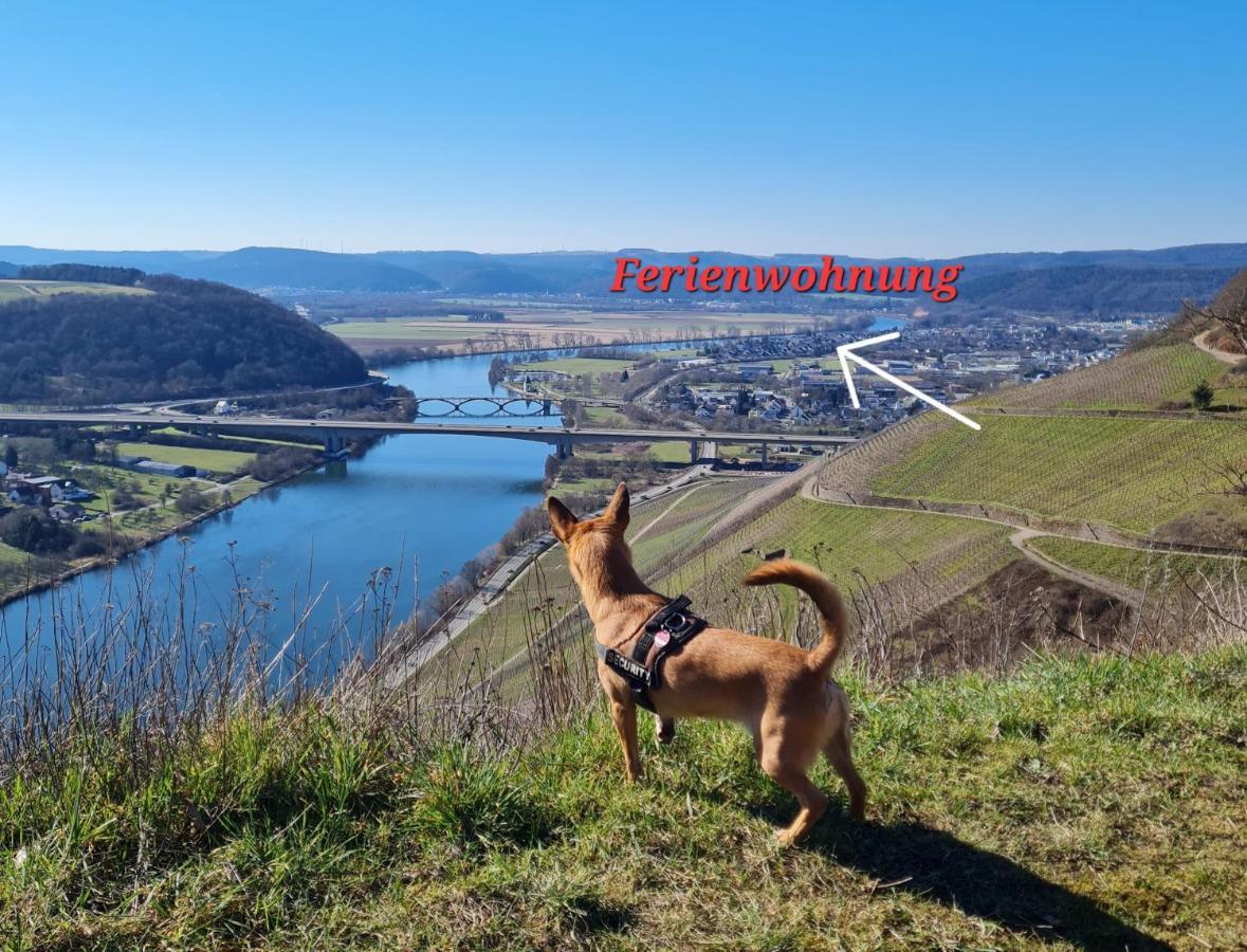 Familie Jonas Appartement Schweich Buitenkant foto