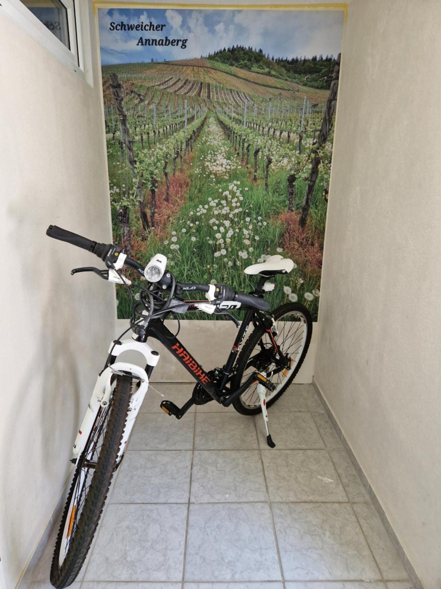 Familie Jonas Appartement Schweich Buitenkant foto